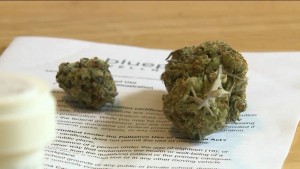 GreenWay-Maryland-Increasing-Momentum-For-Medical-Marijuana-Bill